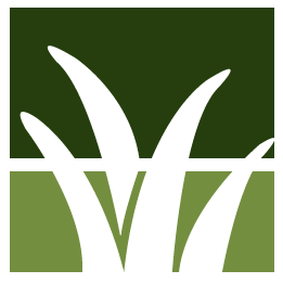 Backyard Cleanup Pros