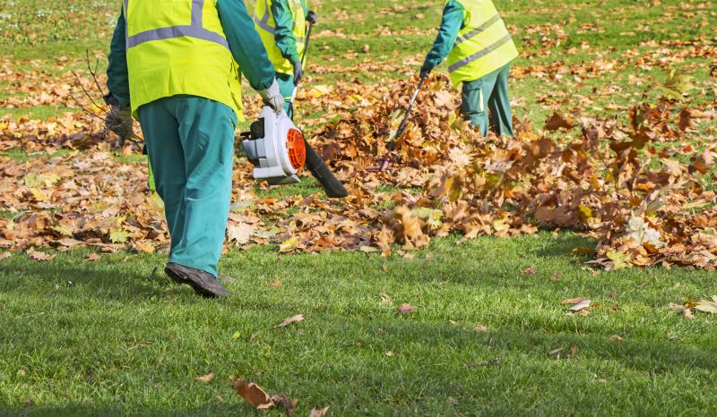 Fall Lawn Cleanup Service
