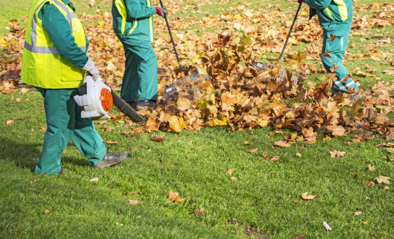 Fall Lawn Cleanup Service