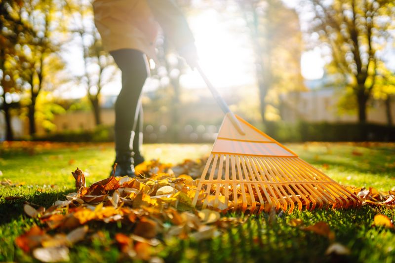 Leaf Raking Service