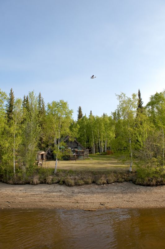 Backyard Cleanup detail