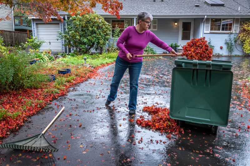 Lawn Cleanup Service in Honolulu, HI