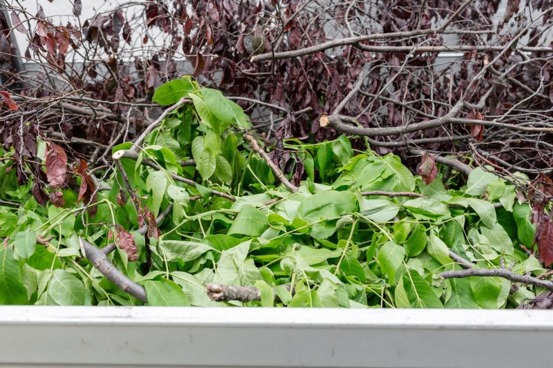 Limbs Removal in Ventura County, CA