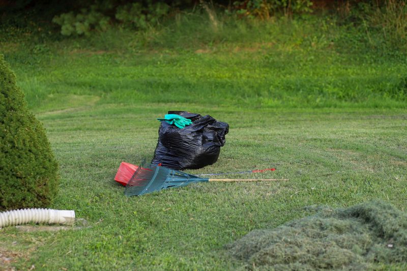 Contact About Backyard Cleanup
