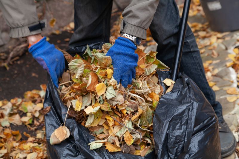 Fall Lawn Cleanup Service in Honolulu, HI
